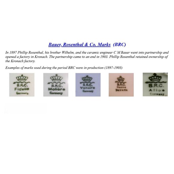 Antique BRC Viola Germany Crown Empire Duchess BR110 Floral Plate w/Gold Leaf - Picture 6 of 6